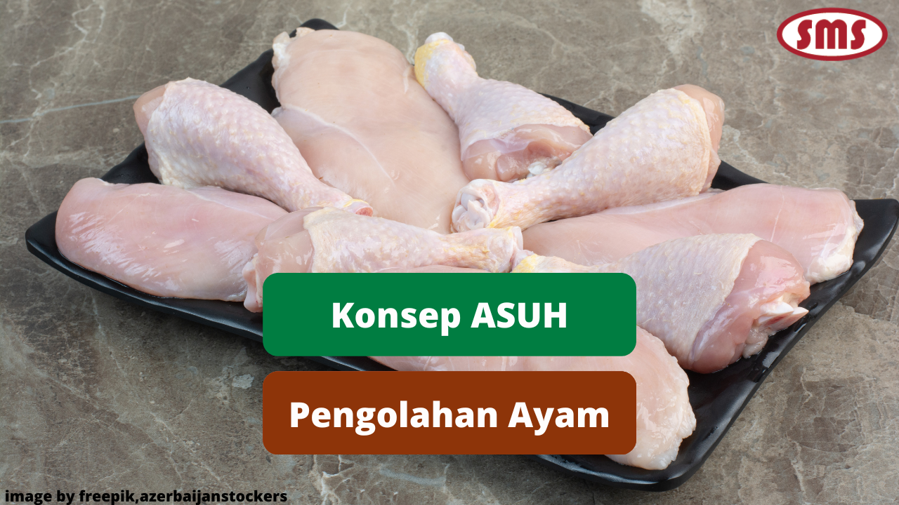 ASUH Sebagai Konsep Dalam Pengolahan Daging Ayam